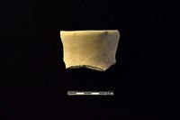 藏品(陶罐)的圖片